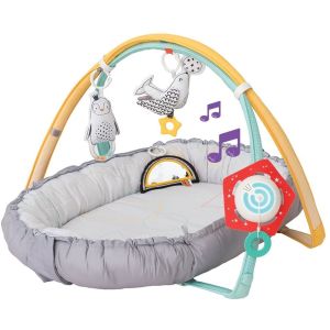 Gimnasio-Nido Musical Polo Norte , Taf Toys - REBAJAS - 