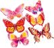 Vinilo Mariposas de colores